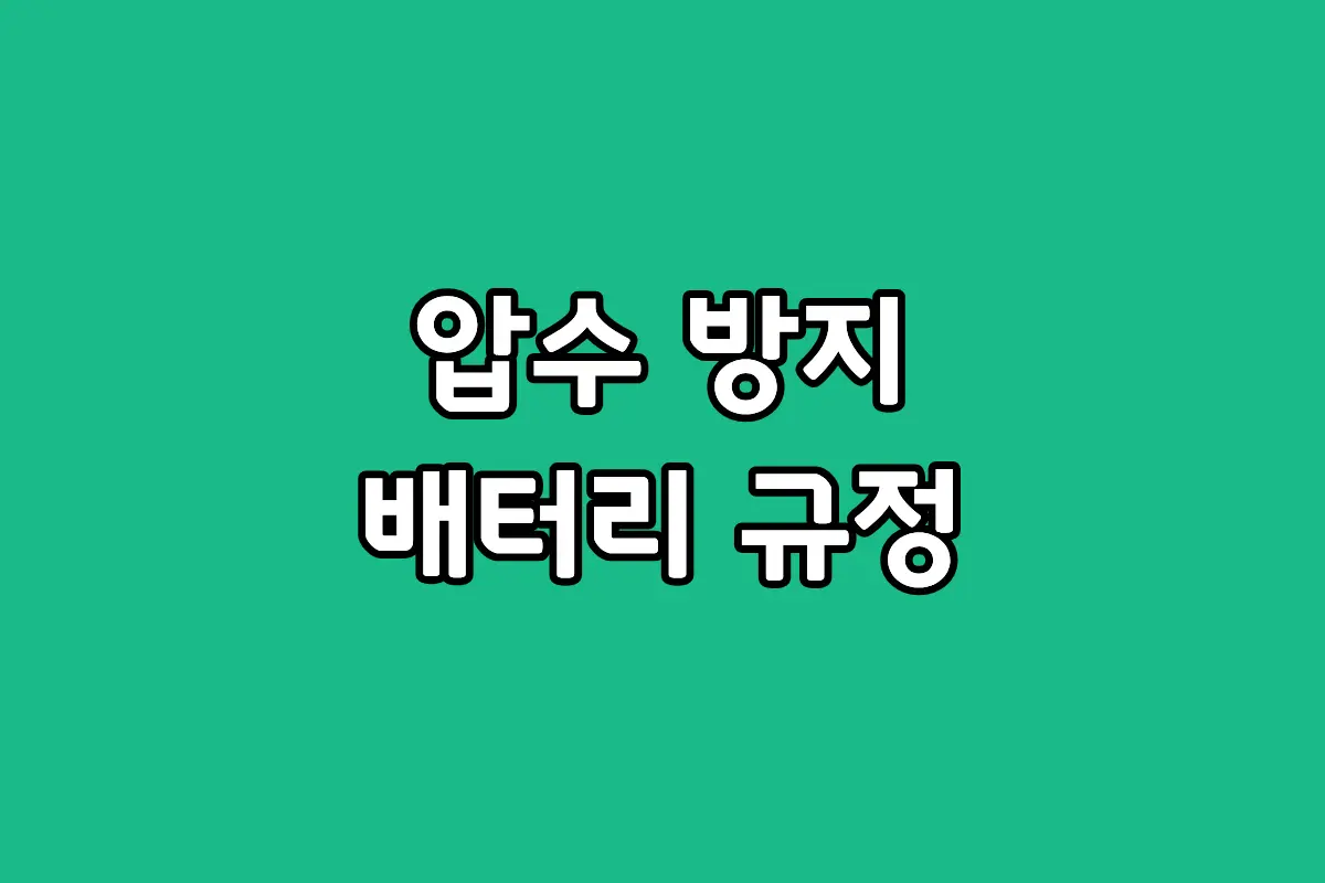보조배터리 100Wh를 mAh로 환산하는 계산법 및 항공사별 기내 반입 개수 제한 안내