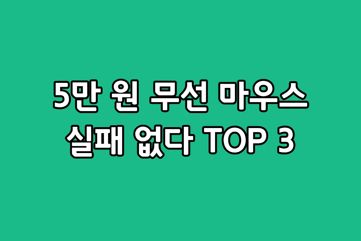 5만 원대 가성비 무선 게이밍 마우스 추천 BEST 3 비교 및 선택 가이드