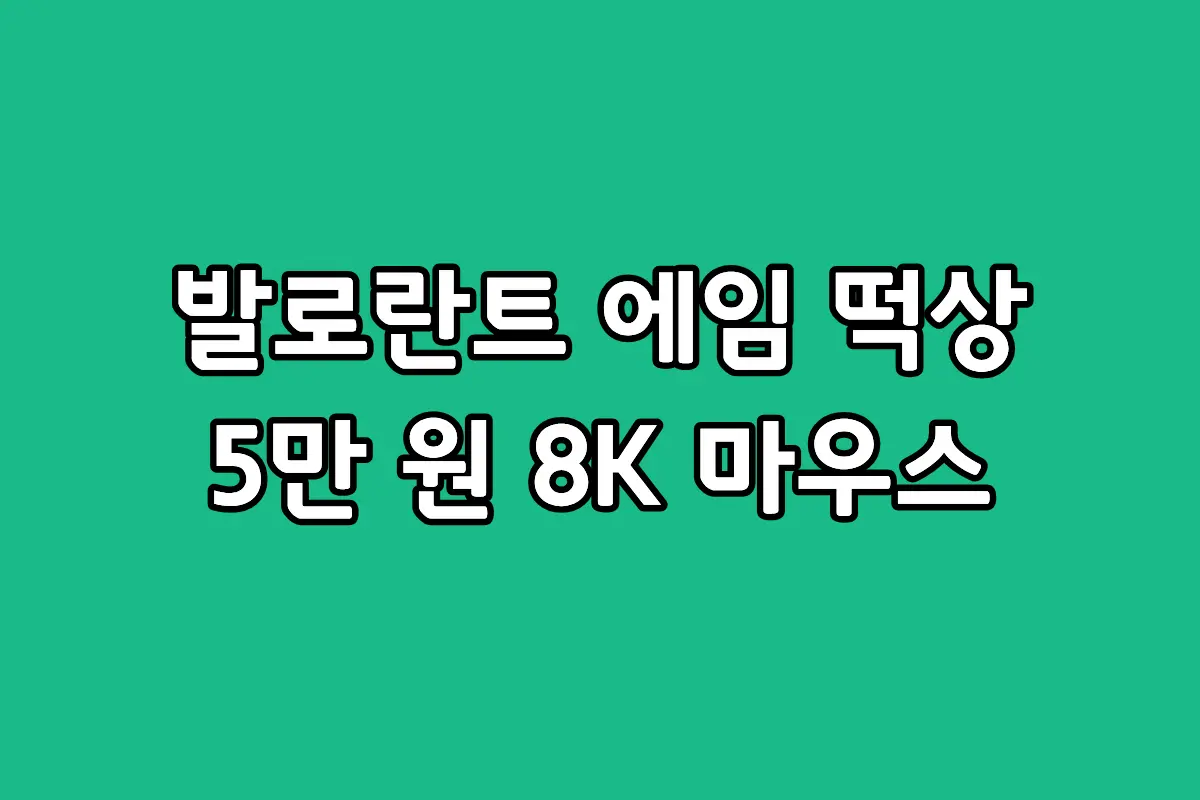 8K 무선 마우스 추천 제품인 하빗 MS955WB PRO와 RGB 충전 독